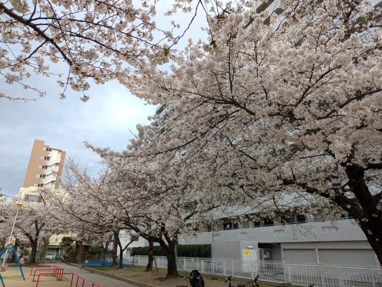 救急車で運ばれた時助けて下さった駅にお礼と報告に行ってきました。