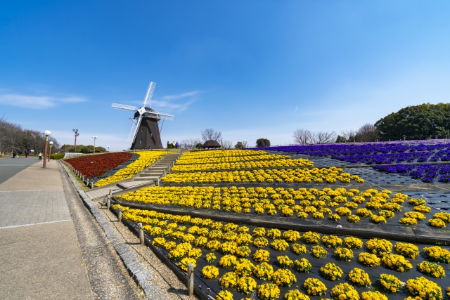 鶴見緑地・風車の丘
