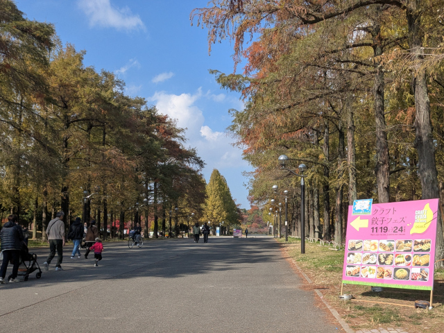 鶴見緑地・正面玄関のメタセコイア並木1