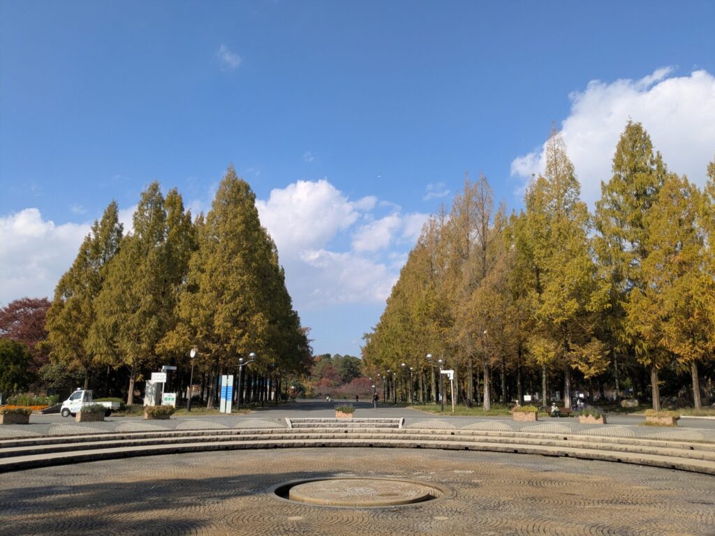 鶴見緑地・正面玄関のメタセコイア並木2