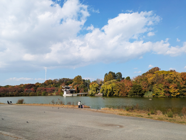 鶴見緑地・池と紅葉