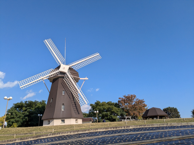 鶴見緑地公園の紅葉＆鶴見新山・風車の丘