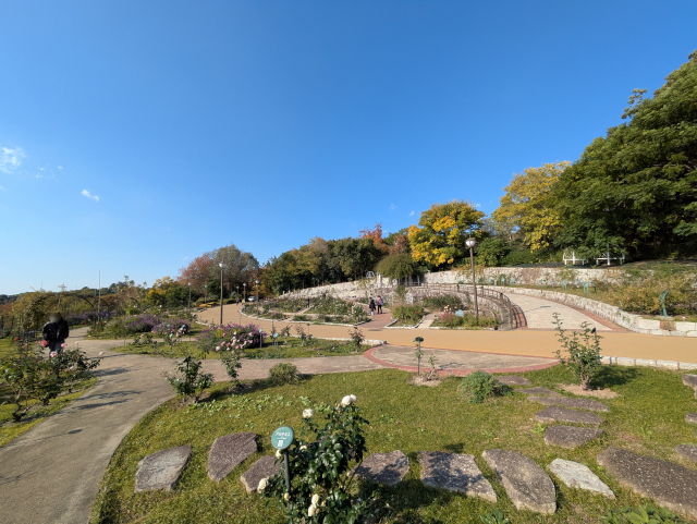 鶴見緑地バラ園の風景1・2025秋