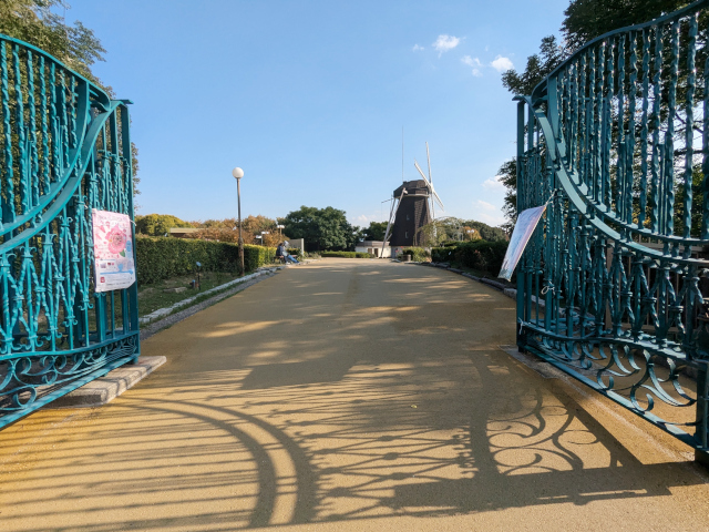 鶴見緑地バラ園と風車・2025秋