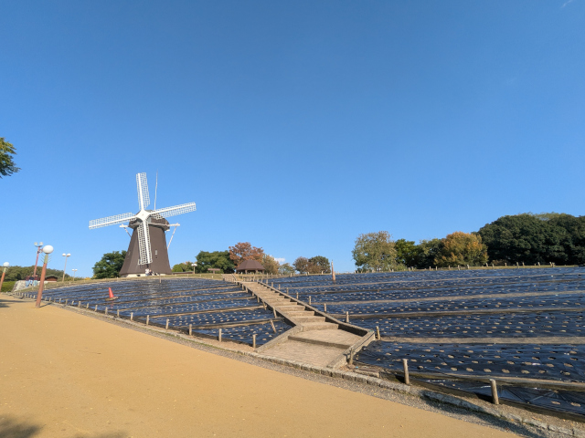 風車の丘
