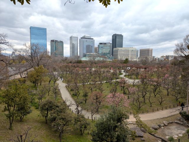 大阪城公園梅林＠2026年シーズン最終の様子