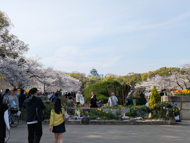 桜満開の大阪城公園・その１＠2026年4月