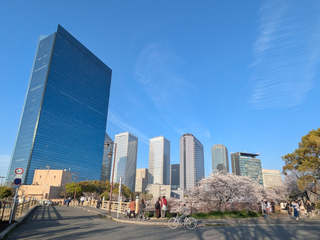 桜満開の大阪城公園・その２＠2026年4月